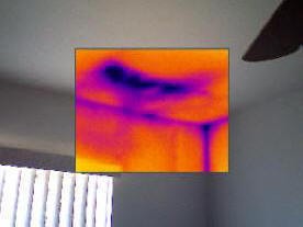 Infrared photo - After photo